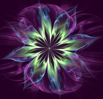 Image #2 of 12: 